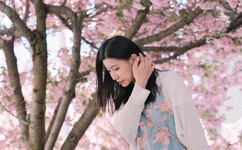 赤祼特工电影国语